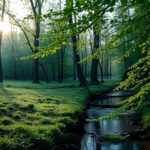 Idun minerals en john van g: innovatie en duurzaamheid in cosmetica