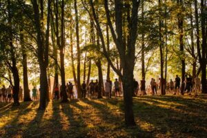 Songfestival 2026 leeft overal: dit zijn de deelnemers, Nederlandse kansen en opvallende acts