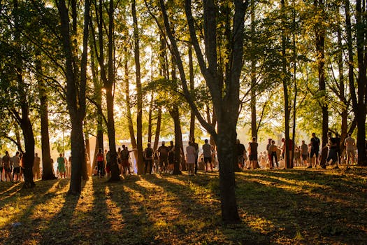Songfestival 2026 leeft overal: dit zijn de deelnemers, Nederlandse kansen en opvallende acts