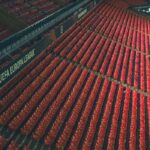 Champions League wedstrijden: programma, topduels en PSV
