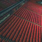 Feyenoord wedstrijden: programma, uitslagen en topduels