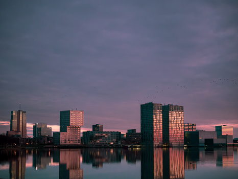 Filmhuis Almere bezoeken? Dit zijn de slimste tips voor je avond uit