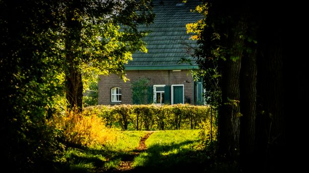 Tiny house in een achtertuin met bouwtekening en vergunningpapieren op tafel