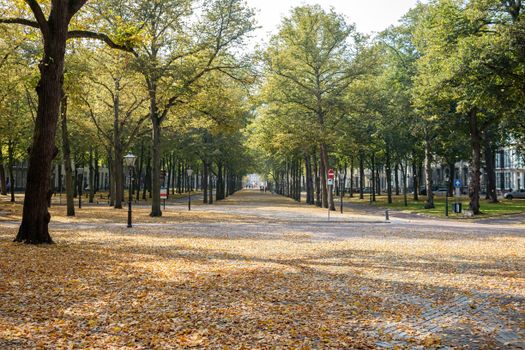 Haagse achtertuin die winterklaar wordt gemaakt met opgeruimde bladeren, beschermde planten en vastgezette potten