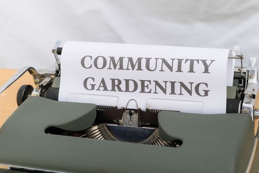 Vergroende tuin in Groningen met verwijderde tegels, planten, regenton en waterdoorlatend pad
