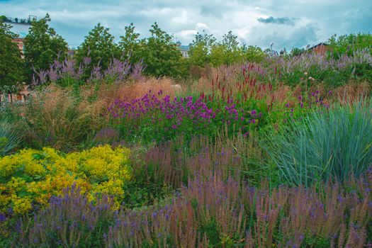 Groene stadstuin in Utrecht met planten, regenton en verwijderd tegelpad voor klimaatbestendig wonen