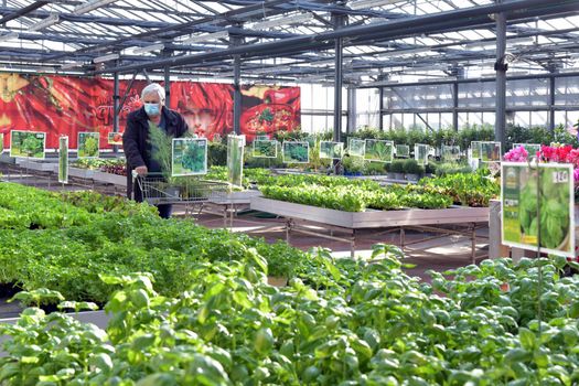 Groene Nederlandse achtertuin met planten, regenton en vervangen tegels als voorbeeld van tuin vergroenen subsidie