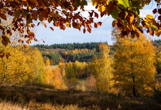Gezin geniet van herfstvakantie in het bos met kinderen, warme drank en herfstbladeren